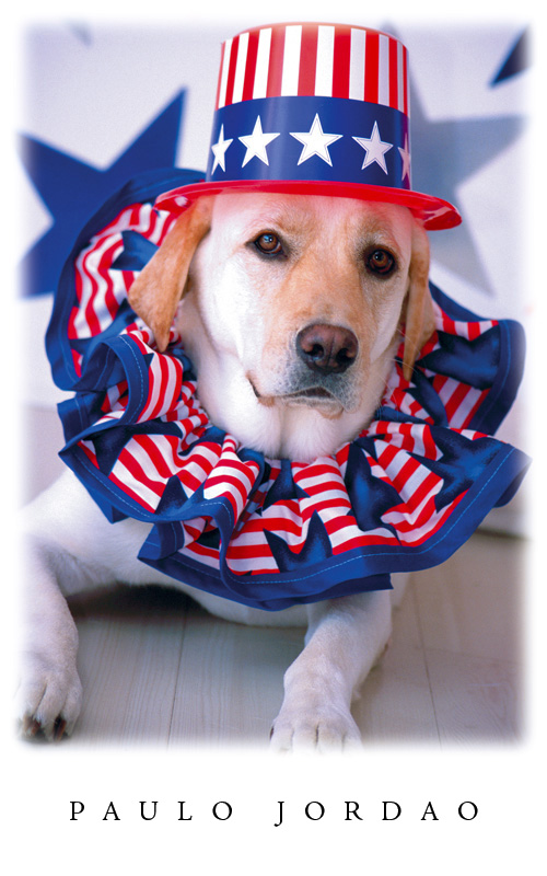 4th of july card