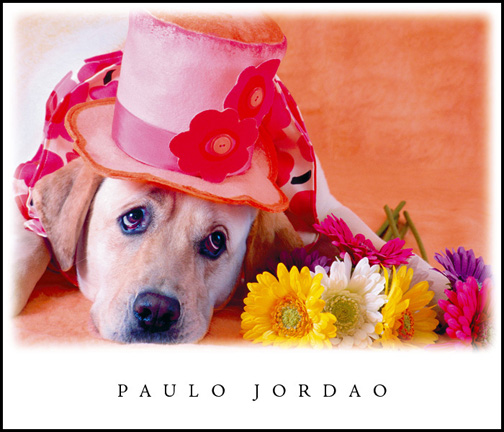 greeting card mothers day