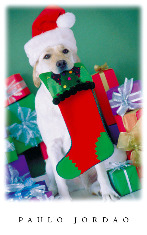 christmas card