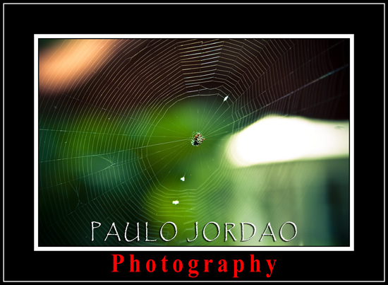 images photowalk