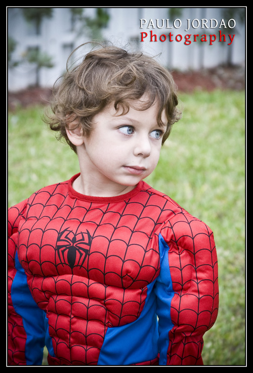 Halloween SpiderMan