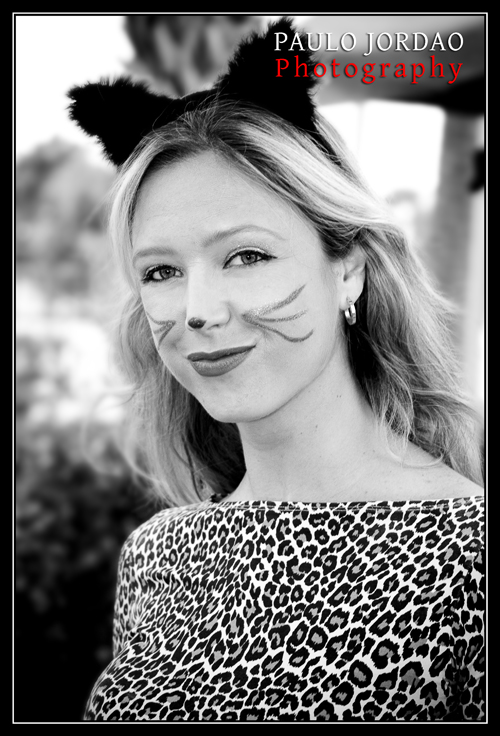 Cute Cat halloween