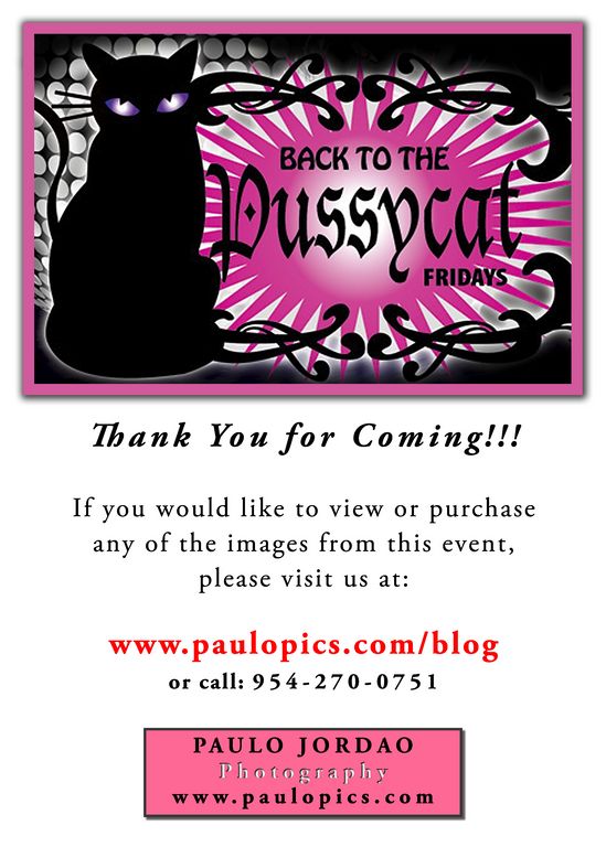 pussycat fridays pussycat fridays